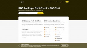 DNS-Check - DNS-Test / DNS-Lookup mit Livewatch