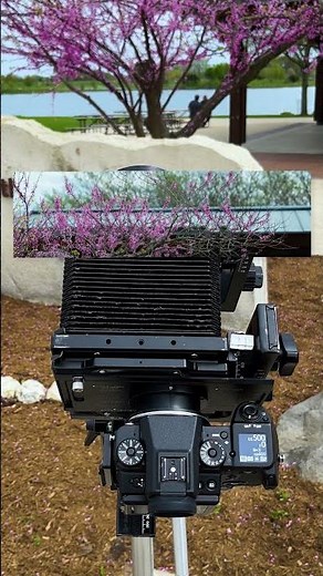 Create a Stitched 4x5 Large Format Image with this adapter! #photography #largeformat