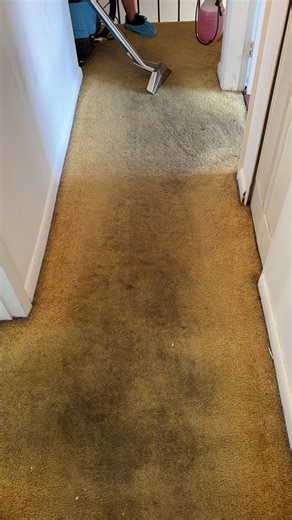 Transform Your Space with Professional Deep Cleaning in Florida