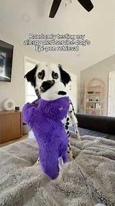 Randomly testing my Service Dog’s Epi-pen retrieval!