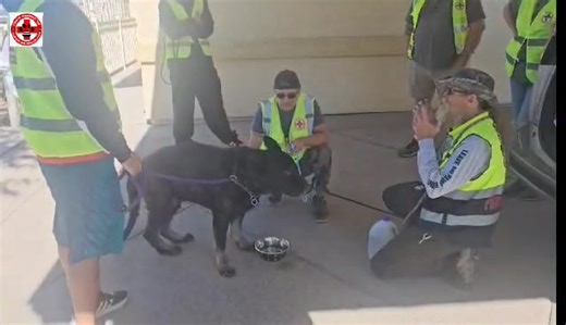 1.6K views · 67 reactions | From Training to Rescue — All in a Day’s...