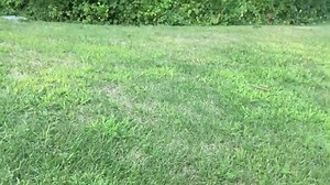 264K views · 4.4K reactions | Help me please... | Bob Marley Comedy | Facebook