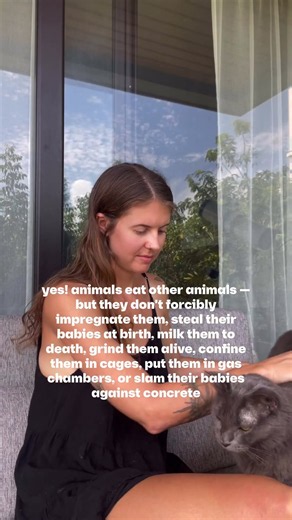 “But animals eat other animals” yes! but they don’t…