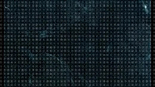 The Crossing (2014) - Full Movie