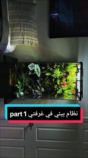 بناء نظام بيئي في غرفتي: الجزء الأول