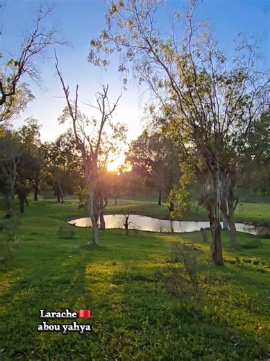 العرائش عشق لا يموت ❤️ 🇲🇦 #viral #fp #العرائش_عشق_لا_يموت #españa🇪🇸 #larache