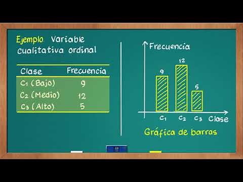 0398D Bar chart and histogram