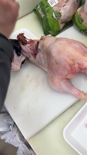 Anaç Tavuk Geldi!Bugün taze taze geldi ✅Köy tavuğuna çok benzer, lezzeti mükemmel.