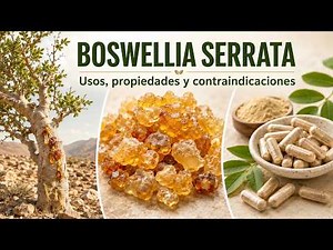 Boswellia Serrata: What It Is, Benefits, Properties, and Contraindications