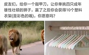 搞笑趣味图集#52