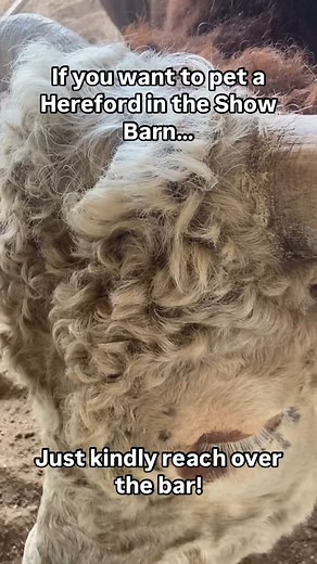 Lyndon B. Johnson National Historical Park on Reels