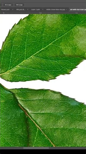 Turn a simple idea into a professional newspaper-style ad using Photoshop!