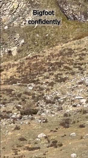 Incredible Bigfoot Sighting 👀 on Colorado Train Ride - Caught on Camera! 📷