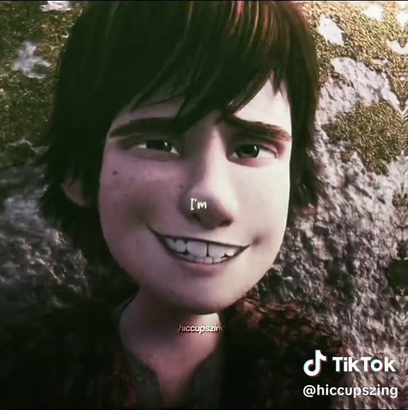 Hiccup and Toothless Friendship Moments