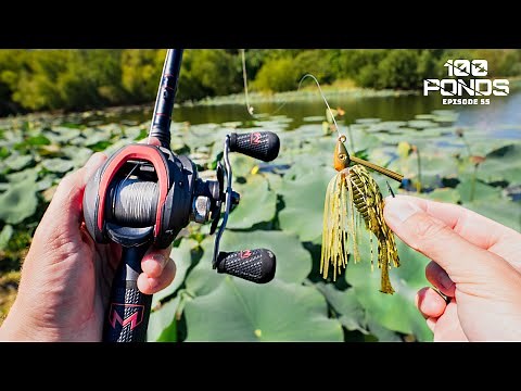 Fishing A JIG Around Lily Pads For Pond LUNKERS? (100 Ponds Ep. 55)