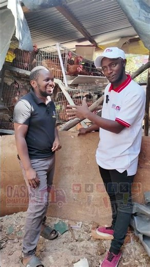 Cheza Na Comment Section