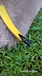 6.8K views · 414 reactions | The Latest custom out of the HuntPrimitive shop. Osage Hunter Lefty, 60# at 27". Bison horn tip overlays, beaver tail handle wrap, bull snake skins. Shoots a consistent 183fps with a 525gr arrow. I think this one is going bear hunting soon! . | HuntPrimitive / Gill's Primitive Archery | Facebook