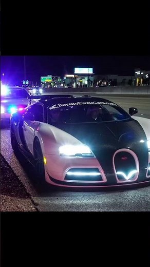 SCP - 973 “Smokey”