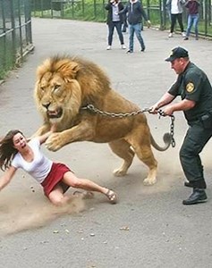 15K views · 155 reactions | 25 Terrifying Situations Of Animals Challenging Humans Violently Filmed 老vs | Eating Sounds | Facebook