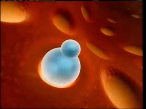 Tagamet HB Commercial (1995) #1