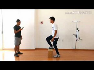 Test De Capacidad Aerobica