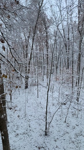 3.9K views · 37 reactions | First snow ❄️ of the year!! Makes the woods even better  #hunting #campoutdoors #ohio #DeerHunting | Camp Outdoors | Facebook