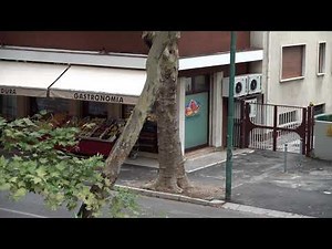 Sony 18-105mm f4 G lens Crazy Zoom Range + Clear Image Zoom on a6300