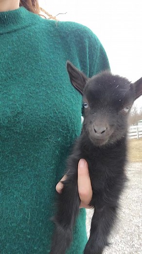 Flashback Friday with Baby Ruthie