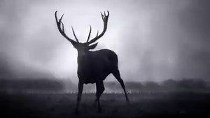 350K views · 677 shares | New cameras. Water resistant. Stereo speakers. Longer battery life. This is 7. | Apple | Facebook