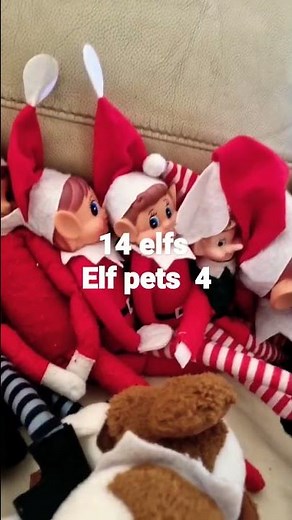 elfs and elf pets
