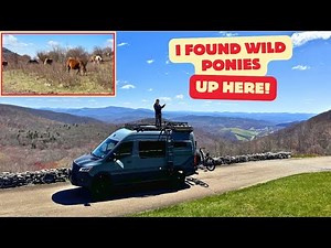 Windstorms & Wild Ponies | Grayson Highlands Van Life