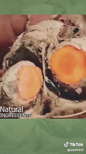 Natural Detoxification Foot Pads for Body Toxin Removal