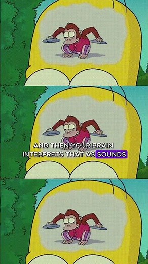 How does a vinyl disc work?