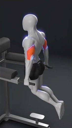 Don’t Waste Your Dips! Learn Perfect Technique for Big Gains 💪