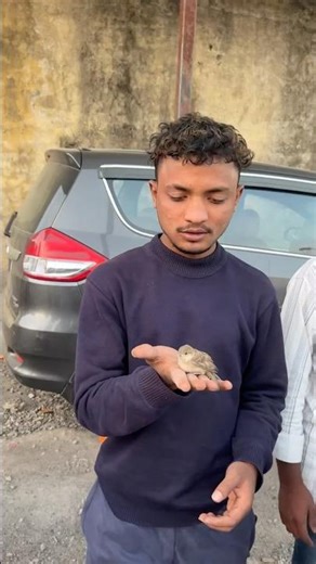 Snake shop snake 🐍.￼￼ #googlet #minivlog #vlog #lifestyle #shortvideo #automobile #vbloger