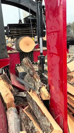 Maximum Output 🪵 #shorts