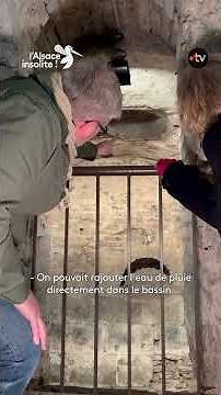 Ce bain rituel juif strasbourgeois, daté de 1200, est l'un des plus anciens de France ✡️ #mikvé