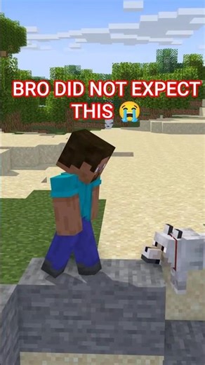 Minecraft Dog Did THIS 😳 #minecraft #shorts #minecraftshorts