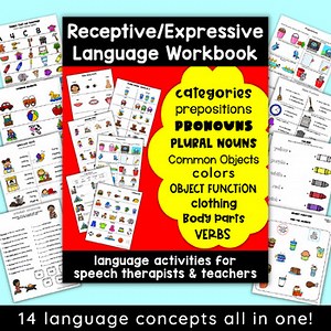Speech Therapy Activities Receptive Expressive Language Activities