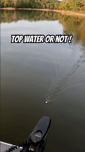 Bass Fishing the Whopper Plopper!
