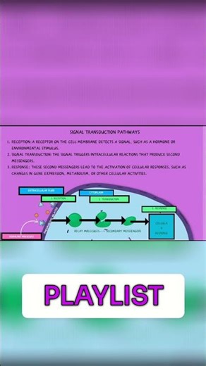 Unit 4 Quiz: Essential Review & Quiz Questions