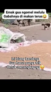 Kajon Setiapano on Reels