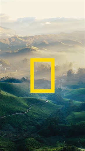 It’s official: National Geographic Signature with G Adventures is HERE! See the world through National Geographic’s iconic lens with this all-new collection of refined itineraries that reveal a world unseen. 🧭 Travel with a National Geographic Expedition Expert, a leading specialist whose insight brings each place vividly to life. 🔓 Unlock rare access to places few travellers ever see, with invite-only experiences beyond the guidebook. ✨ Experience Signature Moments — exclusive, expert-led enc