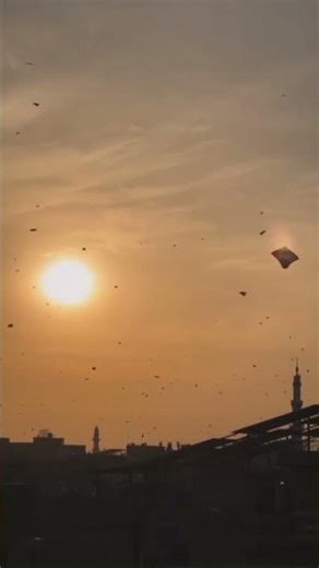 last day of Basant|| 3rd day of Basant #trending #kiteground #viral #basant2026 #kiteworks #shorts