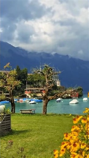 🇨🇭Golden Flowers by Lake Brienz🌼Magical Iseltwald Switzerland金色花海遇见翡翠湖💐瑞士伊瑟尔特瓦尔德如童话般的风景 #swiss