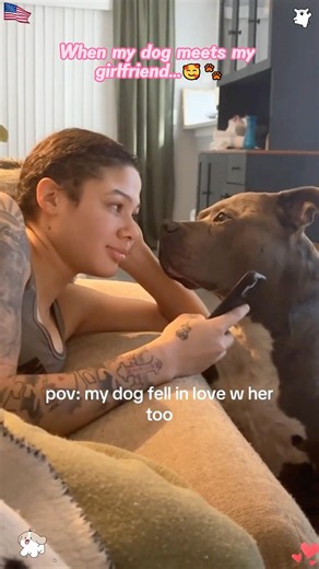 When my dog meets my girlfriend...🥰🐾#doglife #dogs #love #kindness #fyp