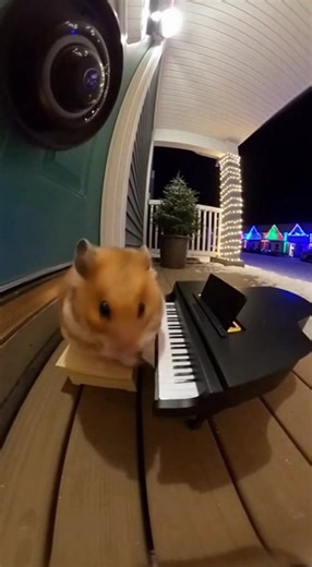 Hamster likes to play on the Piano 😂😳 #viral #funny #ai #sora #fyp | hamster