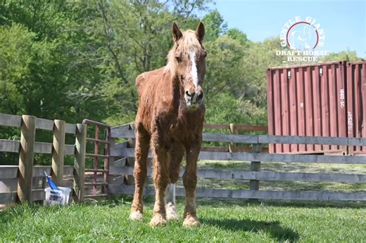 502K views · 34K reactions | On this day 20 years ago, we received...