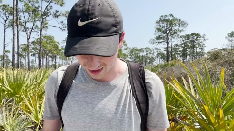 The desert spider whose venom destroys flesh without warning