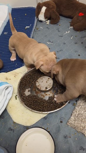 Do what you love and you'll never work a day in your life. | James Cosby